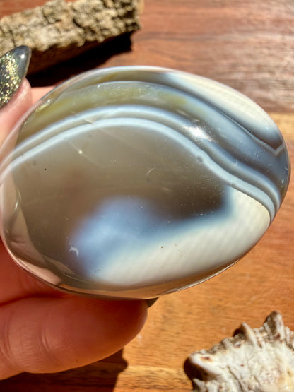 ORCA AGATE PALM STONE