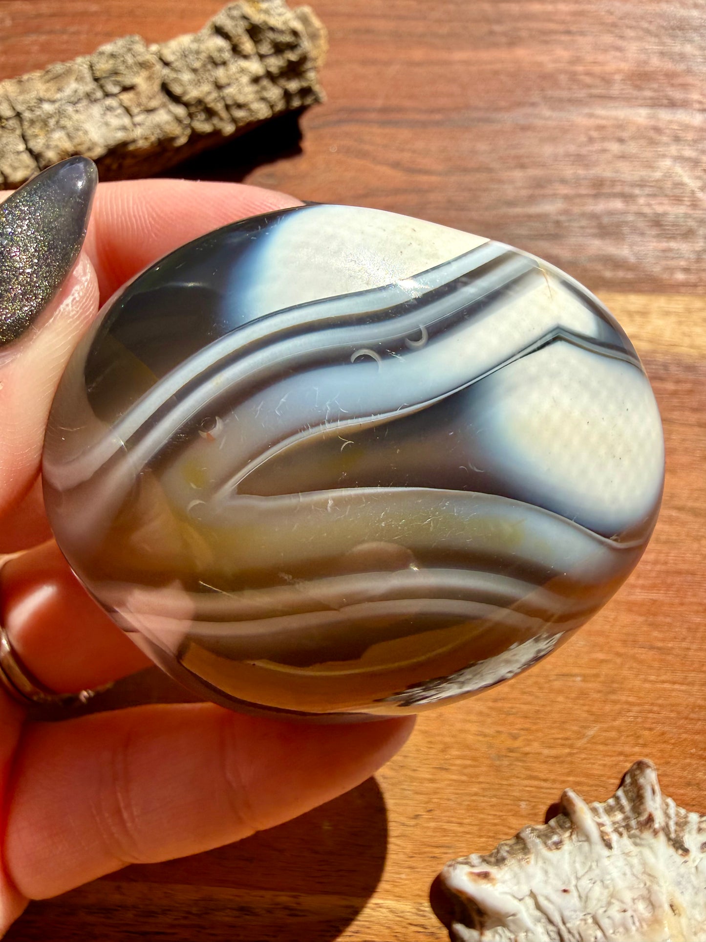 ORCA AGATE PALM STONE