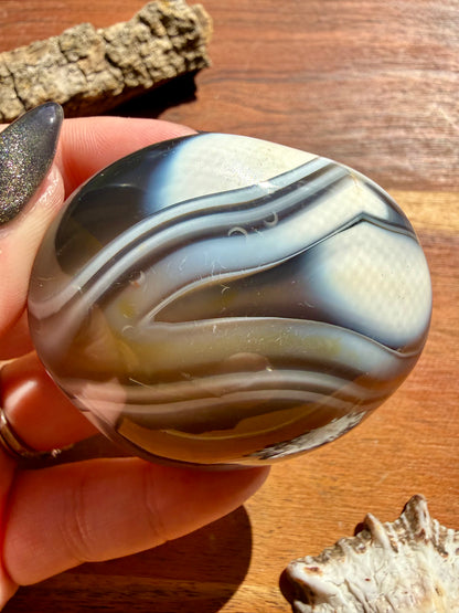 ORCA AGATE PALM STONE