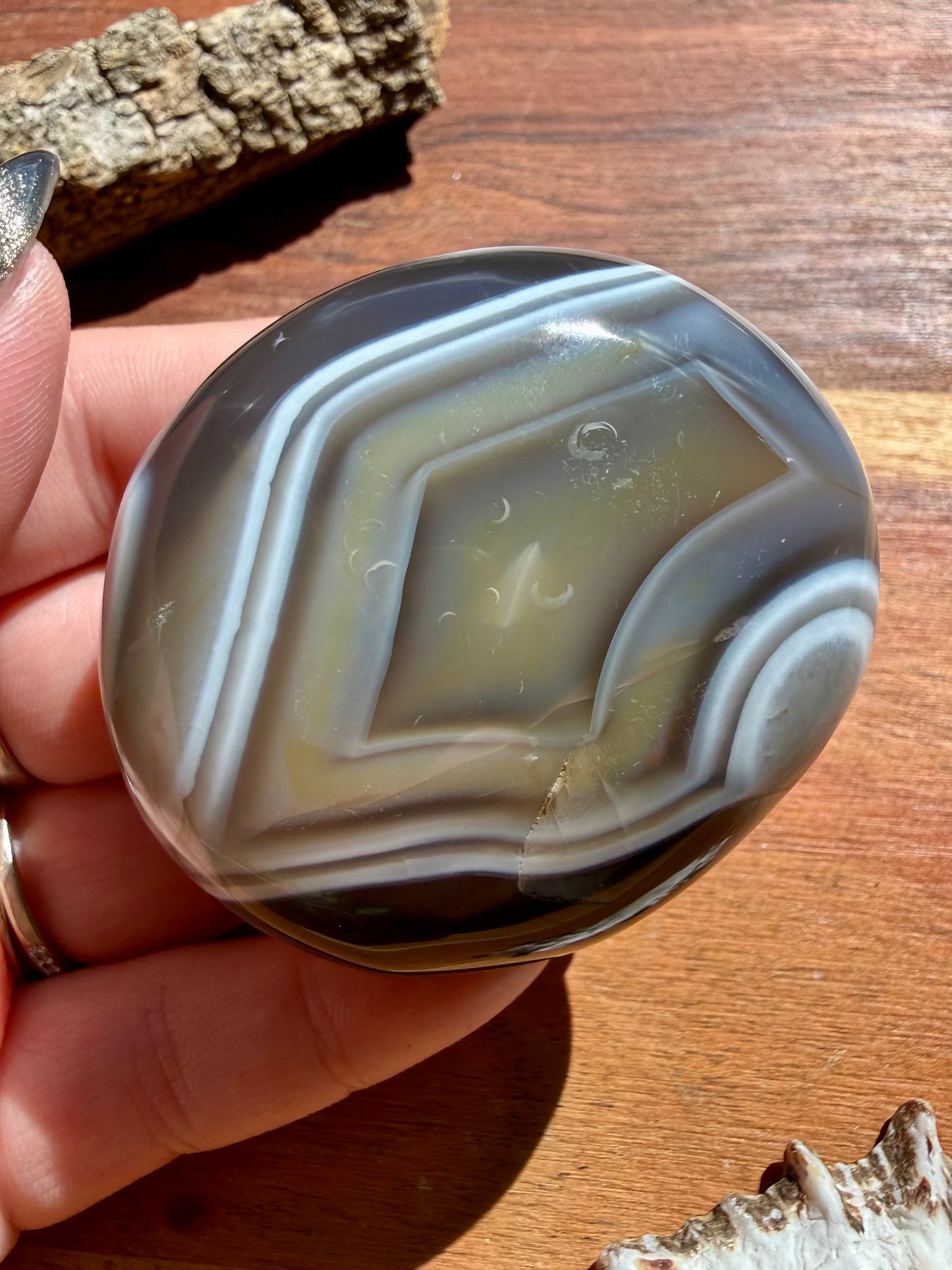 ORCA AGATE PALM STONE
