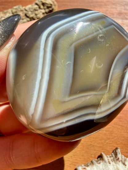 ORCA AGATE PALM STONE
