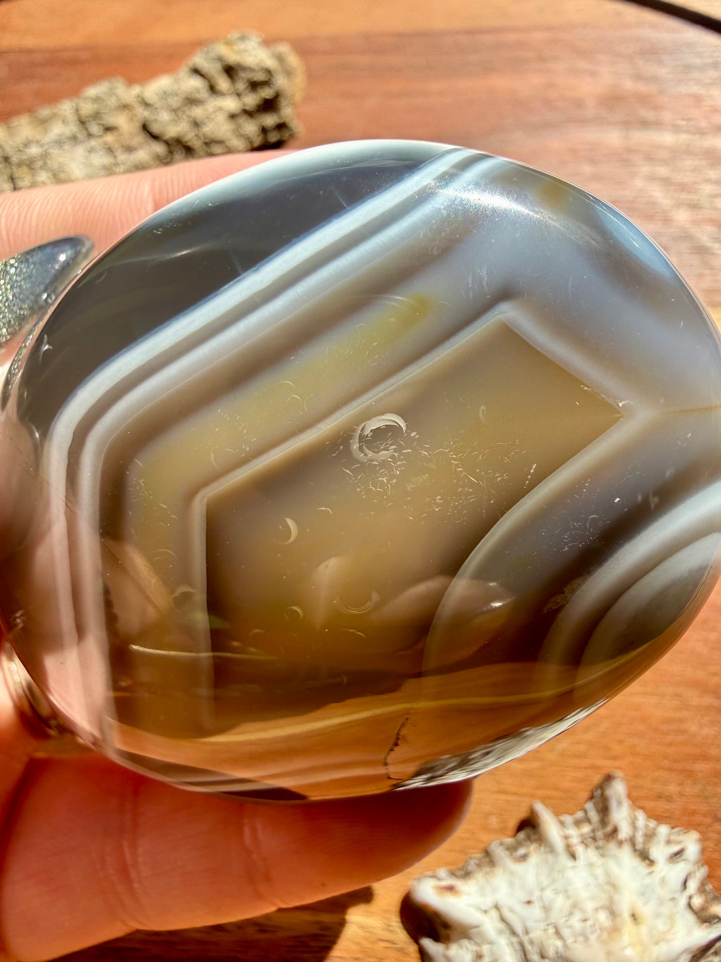 ORCA AGATE PALM STONE