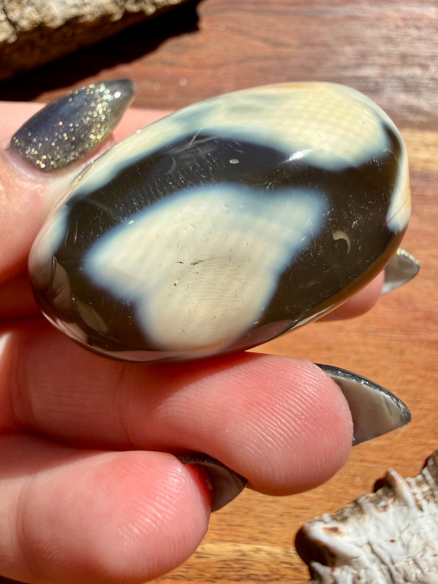 ORCA AGATE PALM STONE