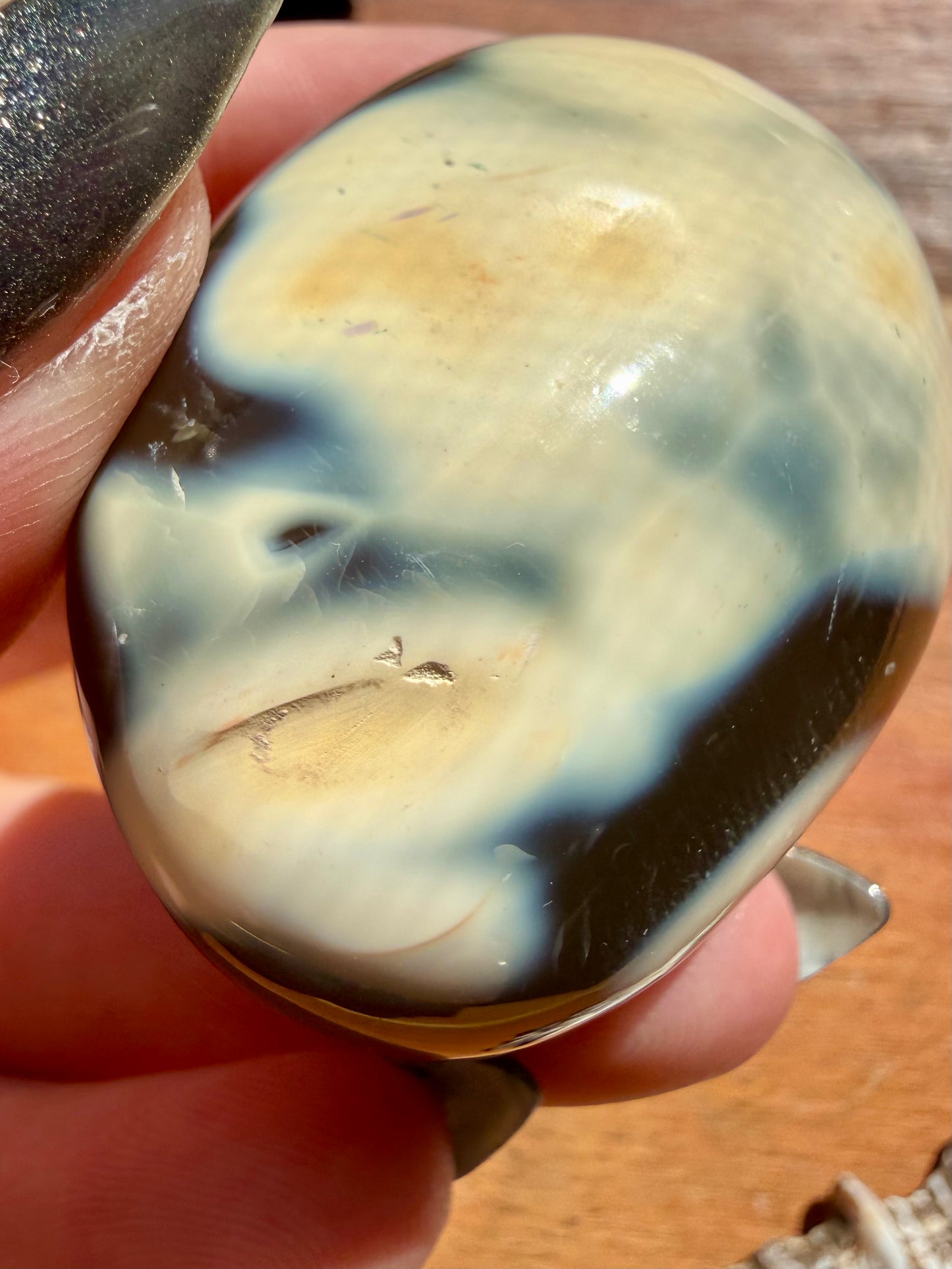 ORCA AGATE PALM STONE