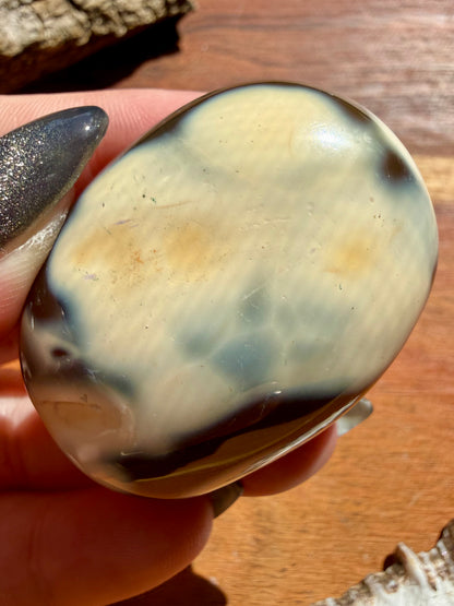 ORCA AGATE PALM STONE