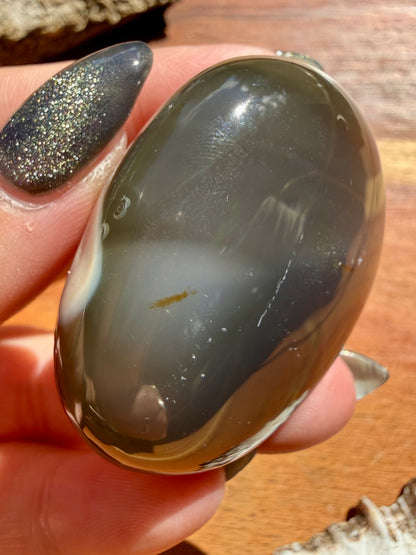 ORCA AGATE PALM STONE