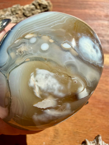 ORCA AGATE PALM STONE