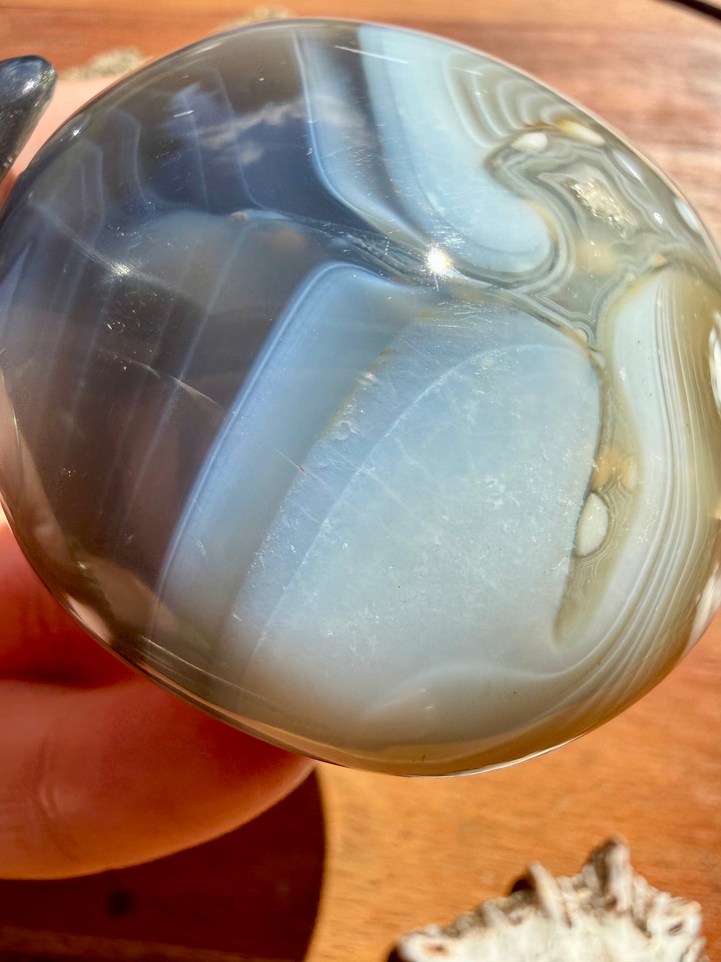 ORCA AGATE PALM STONE