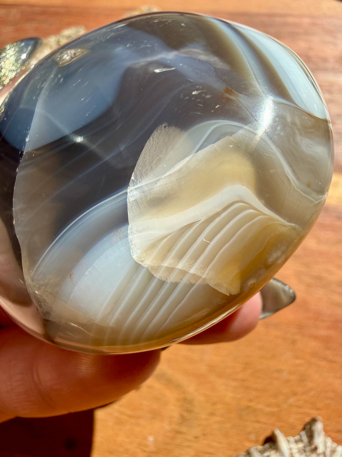 ORCA AGATE PALM STONE
