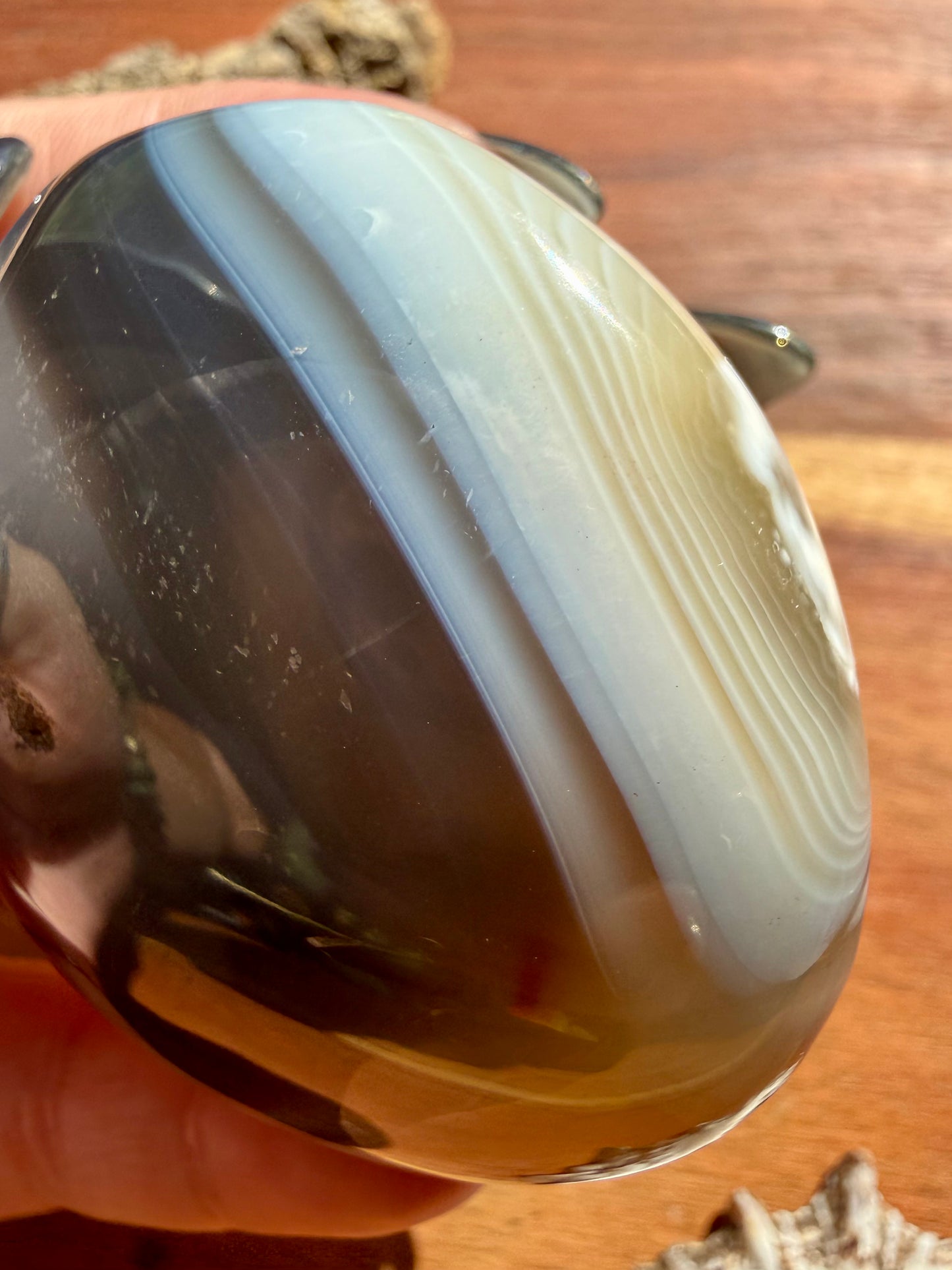 ORCA AGATE PALM STONE