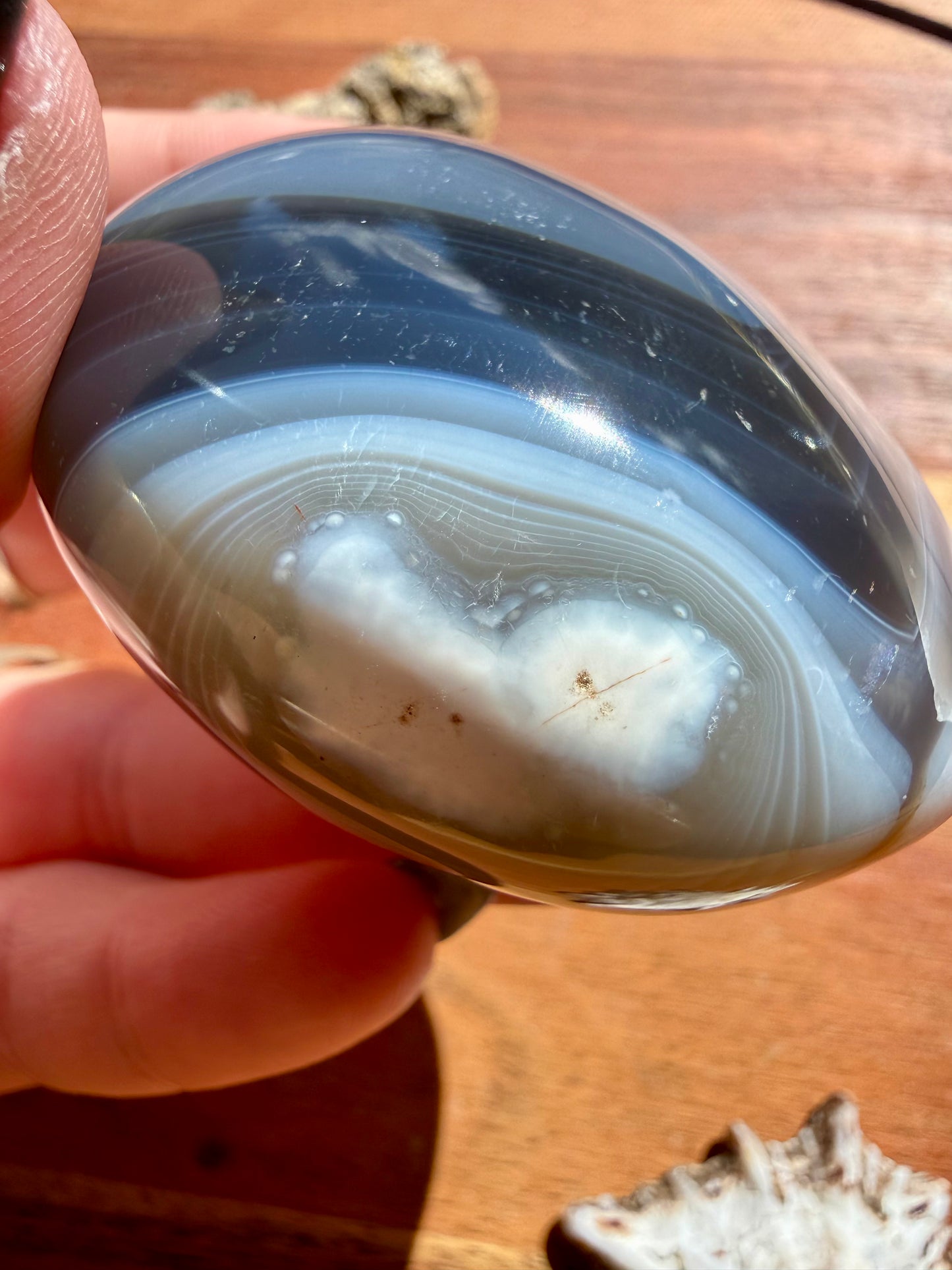 ORCA AGATE PALM STONE