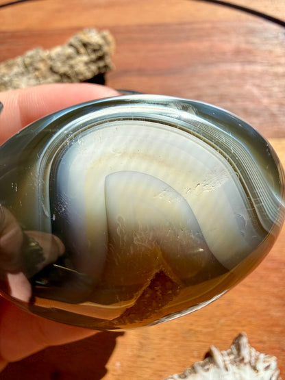 ORCA AGATE PALM STONE