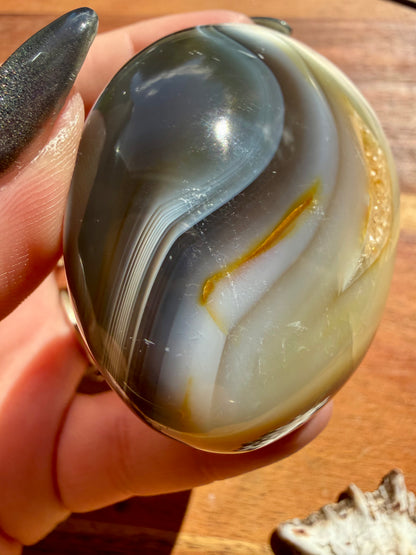 ORCA AGATE PALM STONE