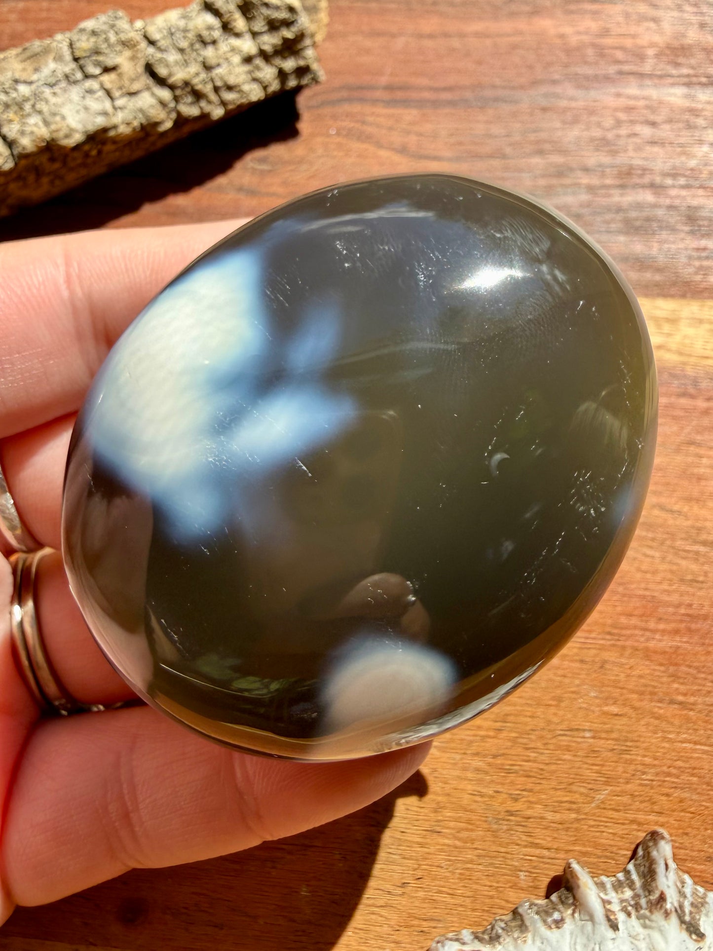 ORCA AGATE PALM STONE