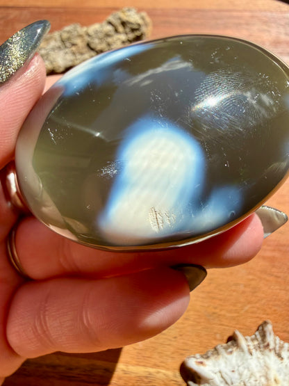 ORCA AGATE PALM STONE