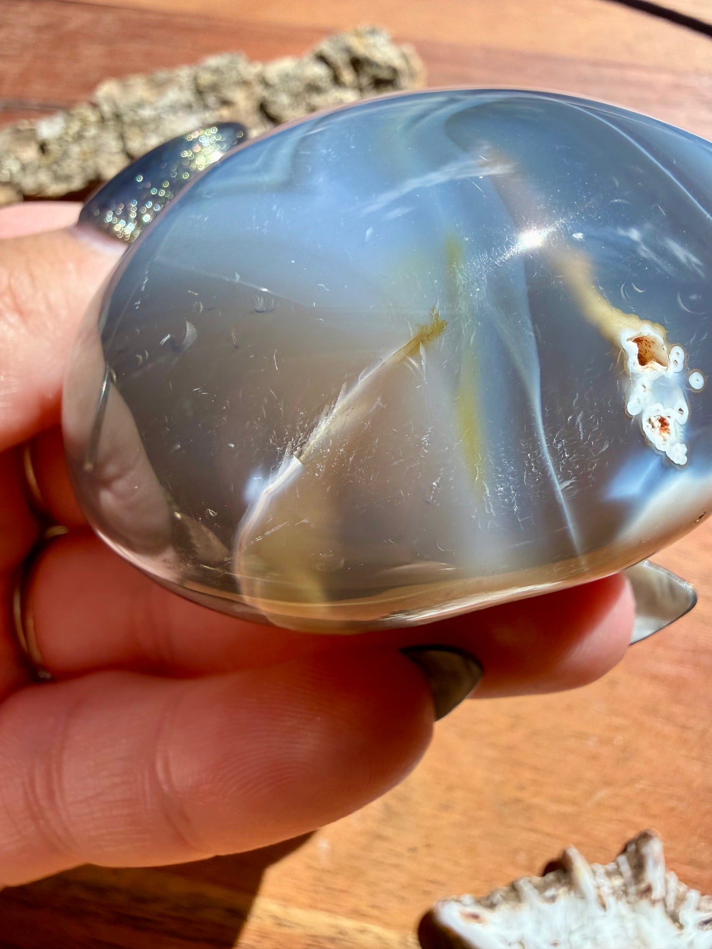 ORCA AGATE PALM STONE