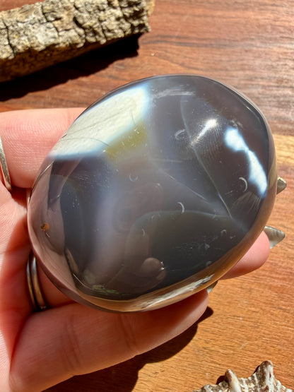 ORCA AGATE PALM STONE