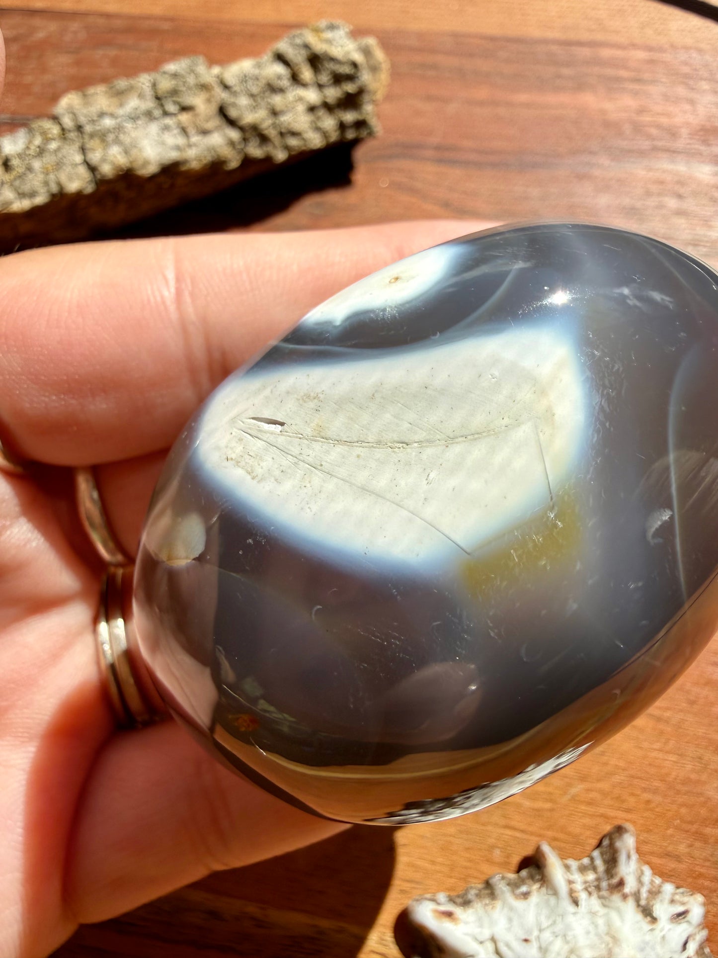 ORCA AGATE PALM STONE