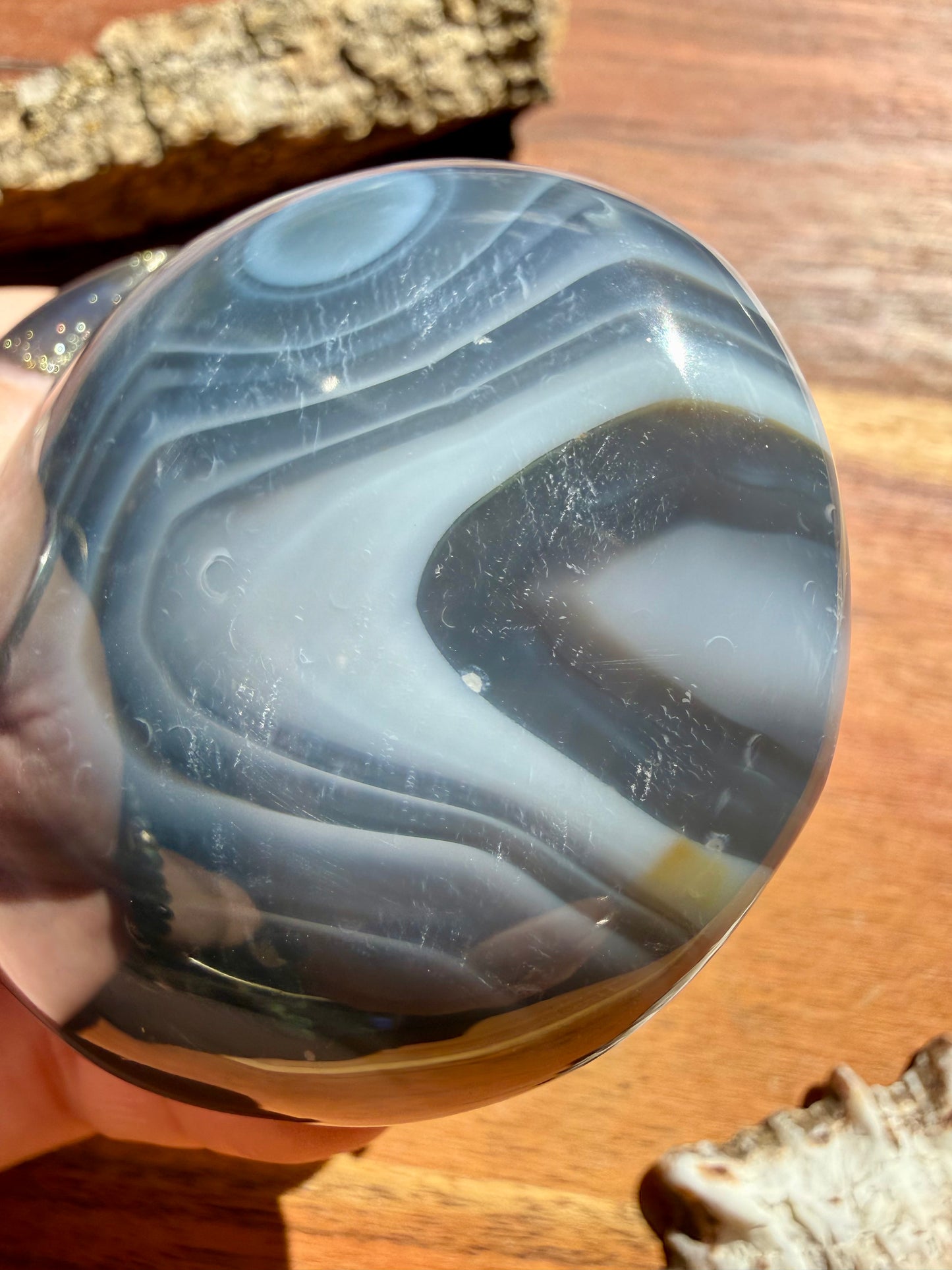 ORCA AGATE PALM STONE