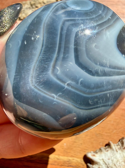 ORCA AGATE PALM STONE