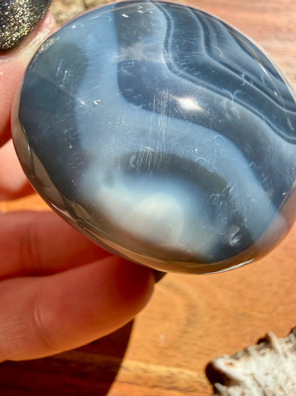 ORCA AGATE PALM STONE