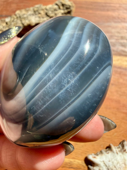 ORCA AGATE PALM STONE