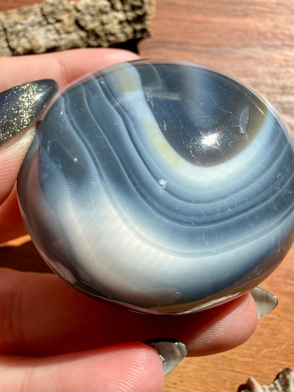 ORCA AGATE PALM STONE