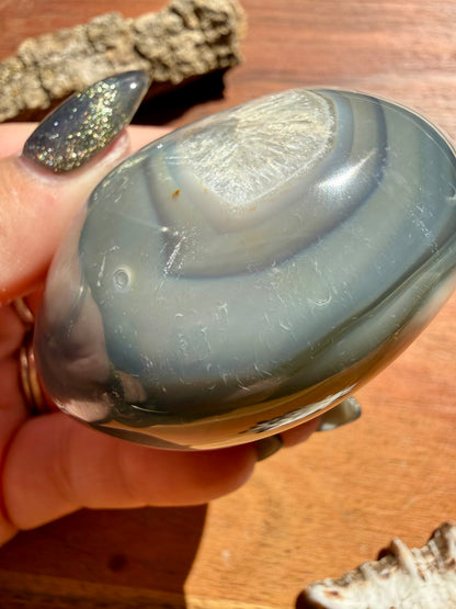 ORCA AGATE PALM STONE