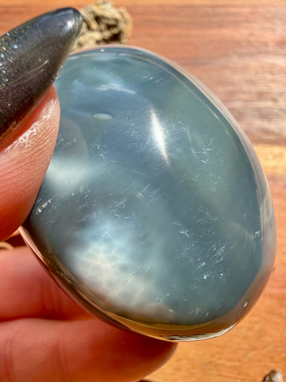 ORCA AGATE PALM STONE