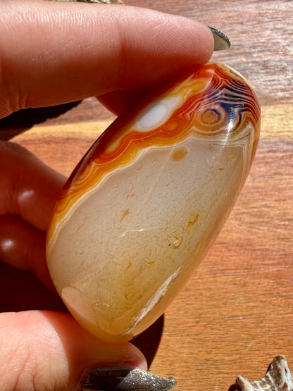 SARDONYX PALM STONE