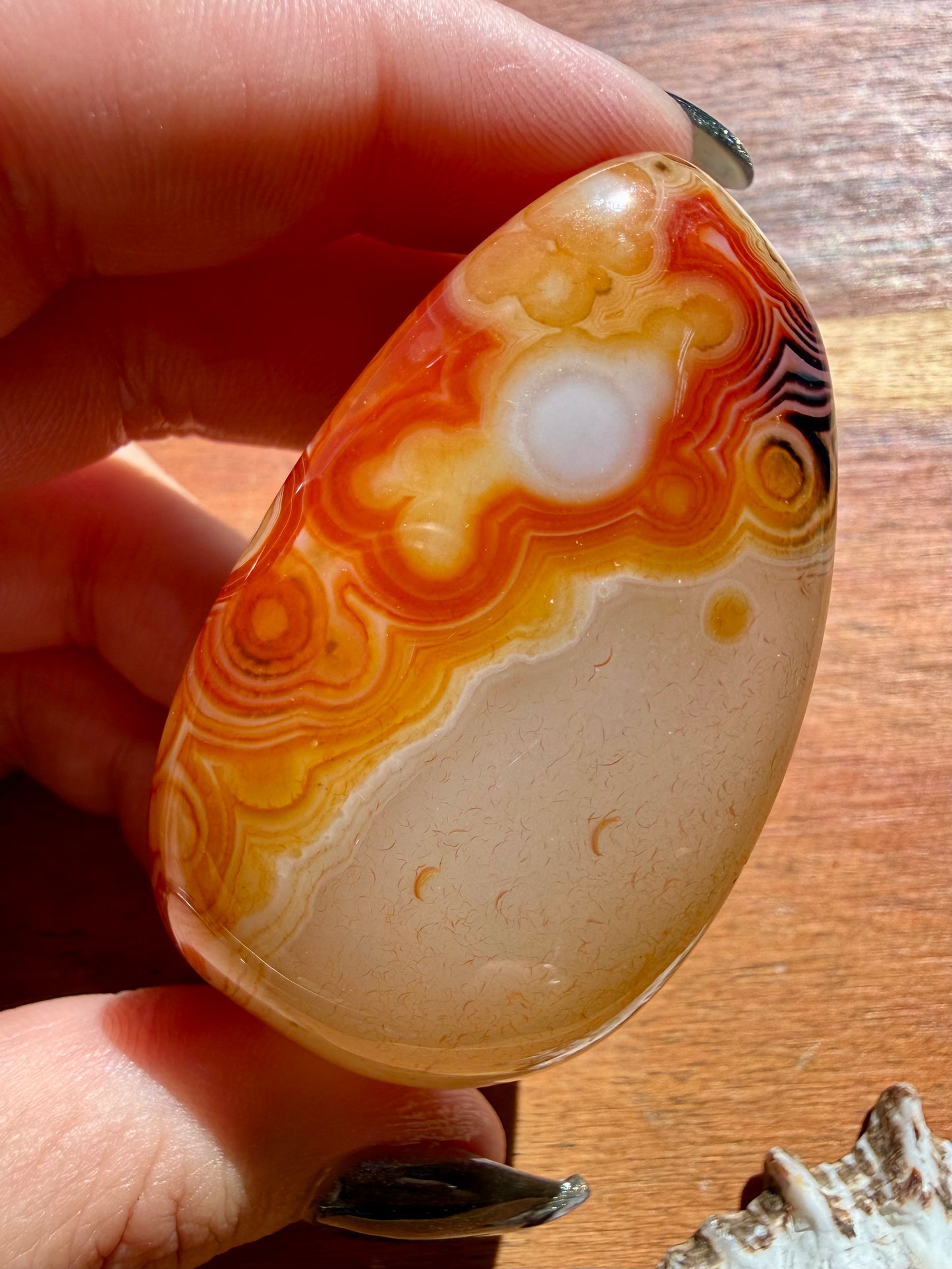 SARDONYX PALM STONE