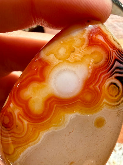 SARDONYX PALM STONE