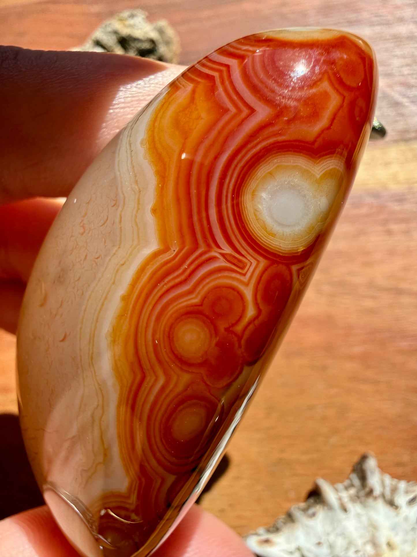 SARDONYX PALM STONE