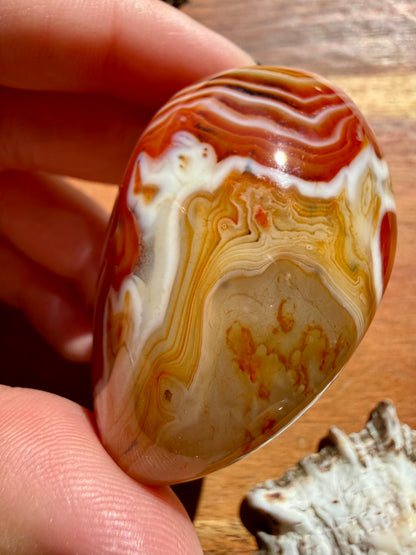 SARDONYX PALM STONE