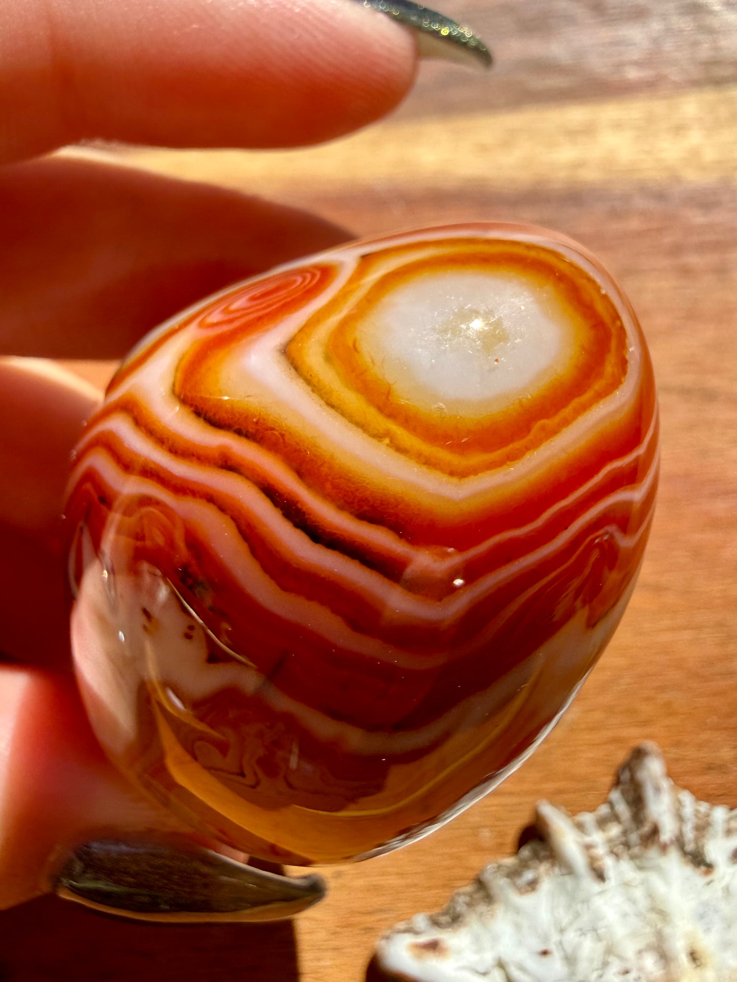 SARDONYX PALM STONE