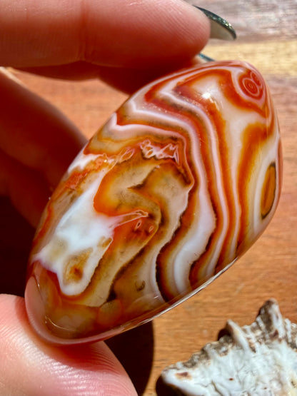 SARDONYX PALM STONE