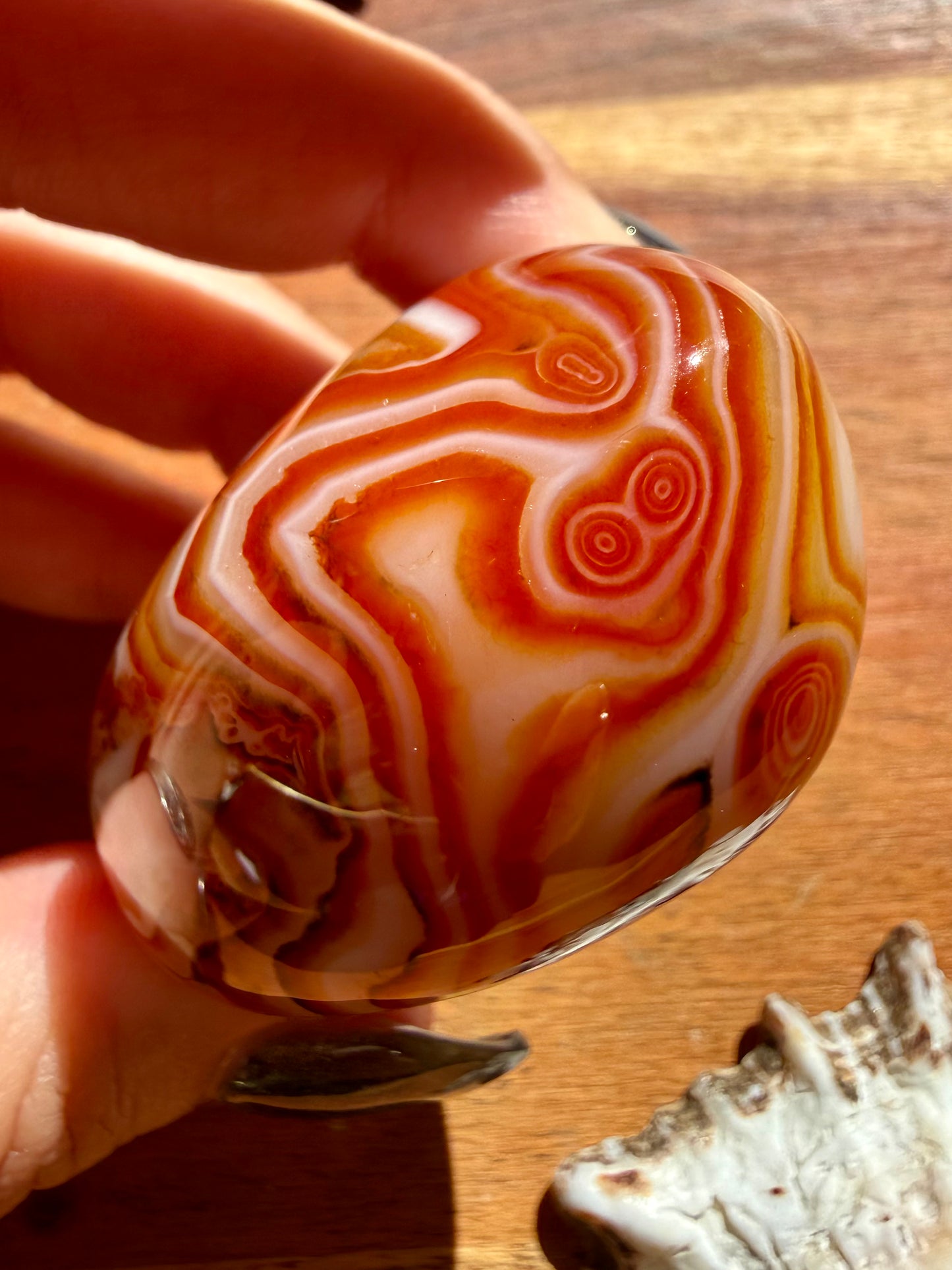 SARDONYX PALM STONE