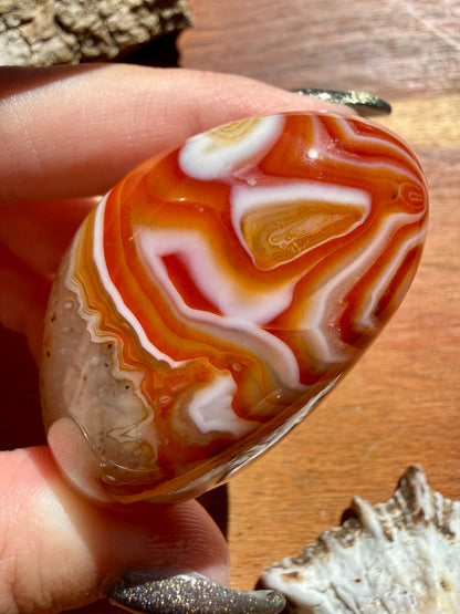 SARDONYX PALM STONE