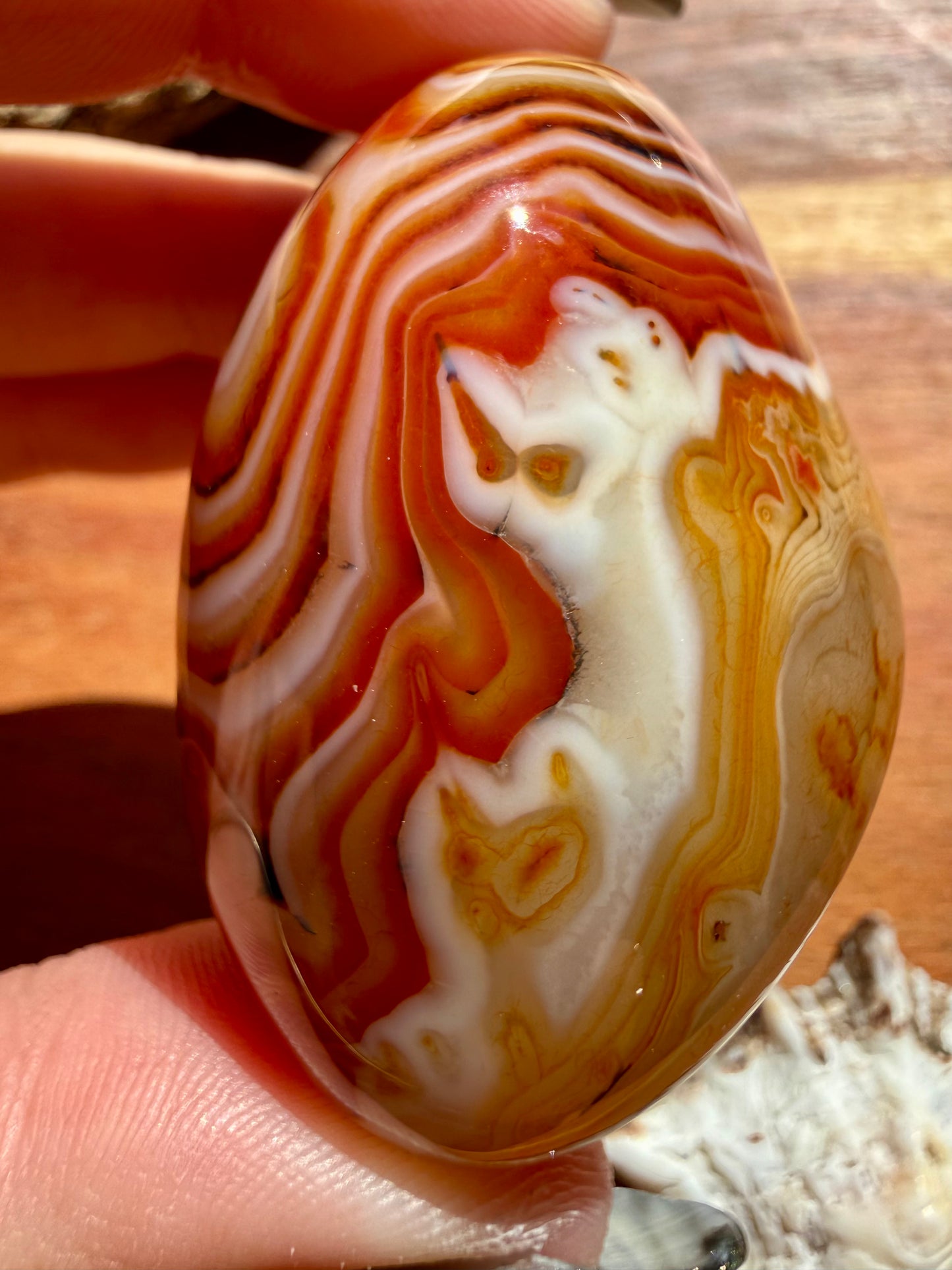 SARDONYX PALM STONE
