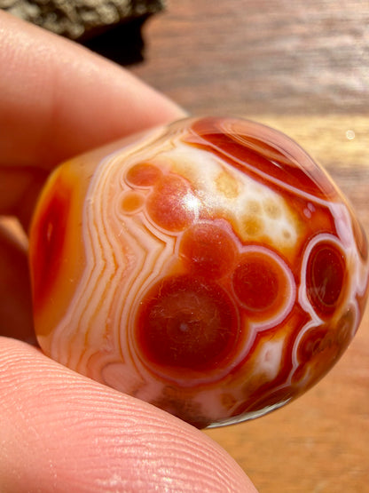 LARGE SARDONYX TUMBLE