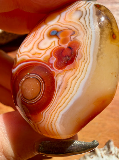 LARGE SARDONYX TUMBLE