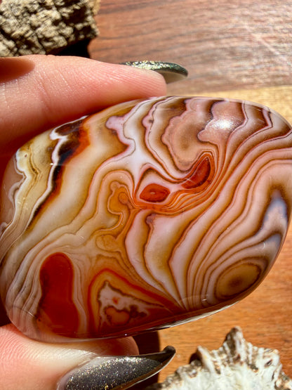 SARDONYX PALM STONE