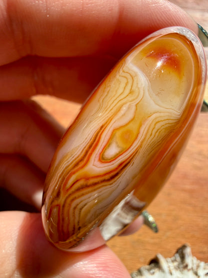 SARDONYX PALM STONE