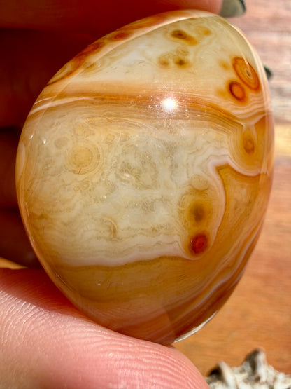 SARDONYX PALM STONE