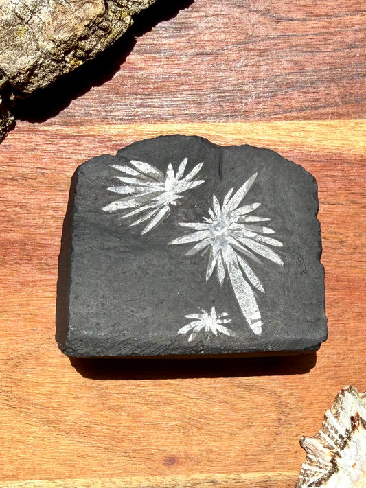 CHRYSANTHEMUM STONE FREEFORM