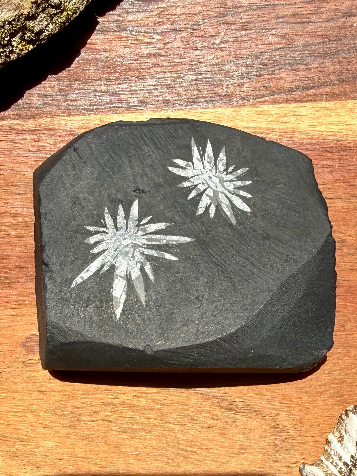 CHRYSANTHEMUM STONE FREEFORM