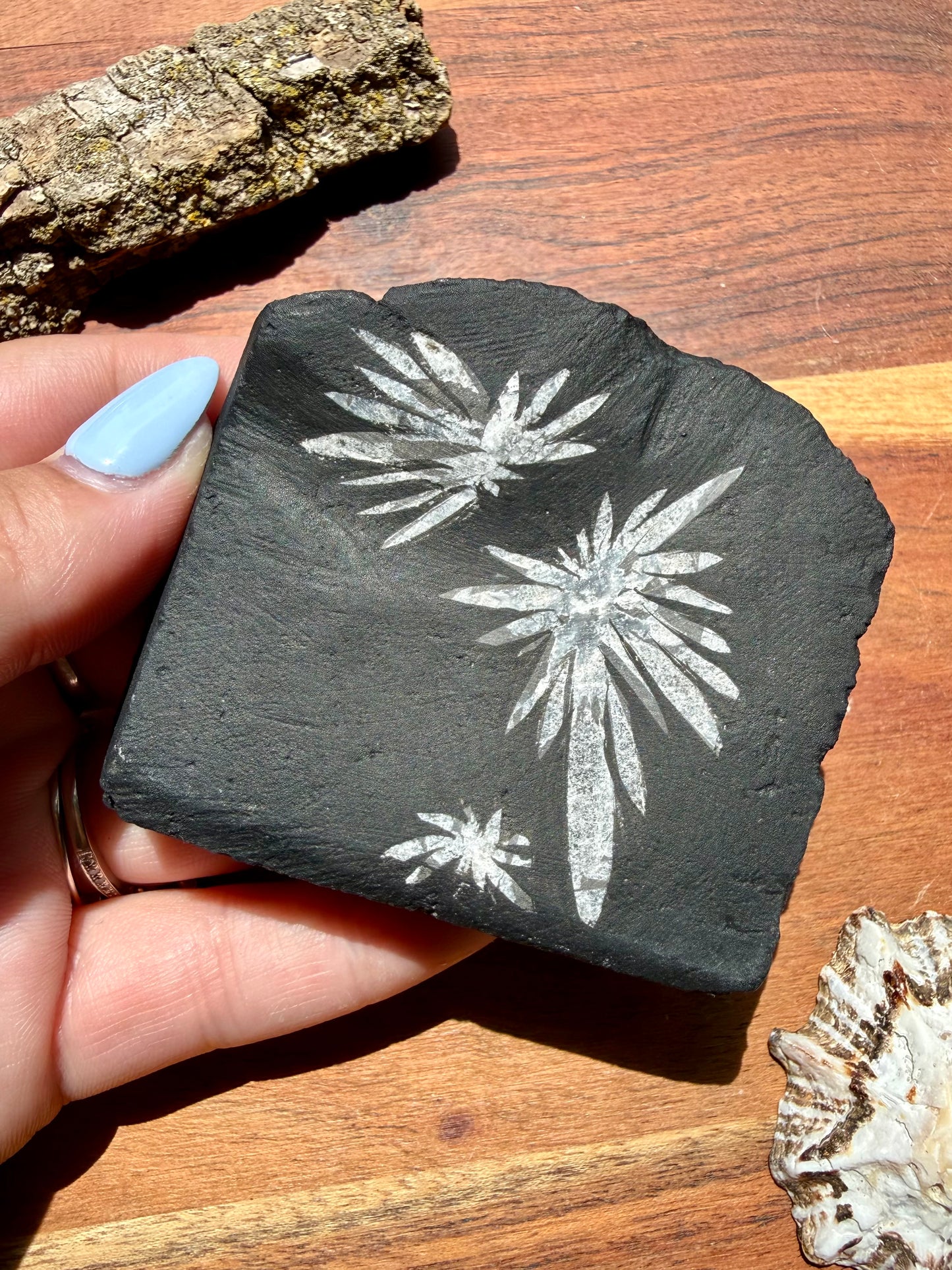 CHRYSANTHEMUM STONE FREEFORM