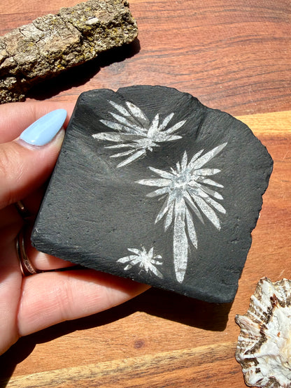 CHRYSANTHEMUM STONE FREEFORM