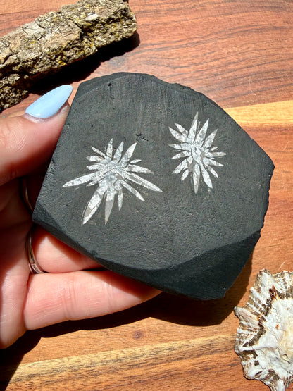 CHRYSANTHEMUM STONE FREEFORM