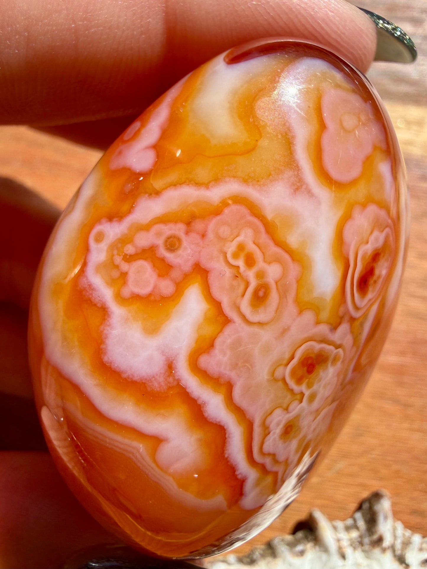 SARDONYX PALM STONE